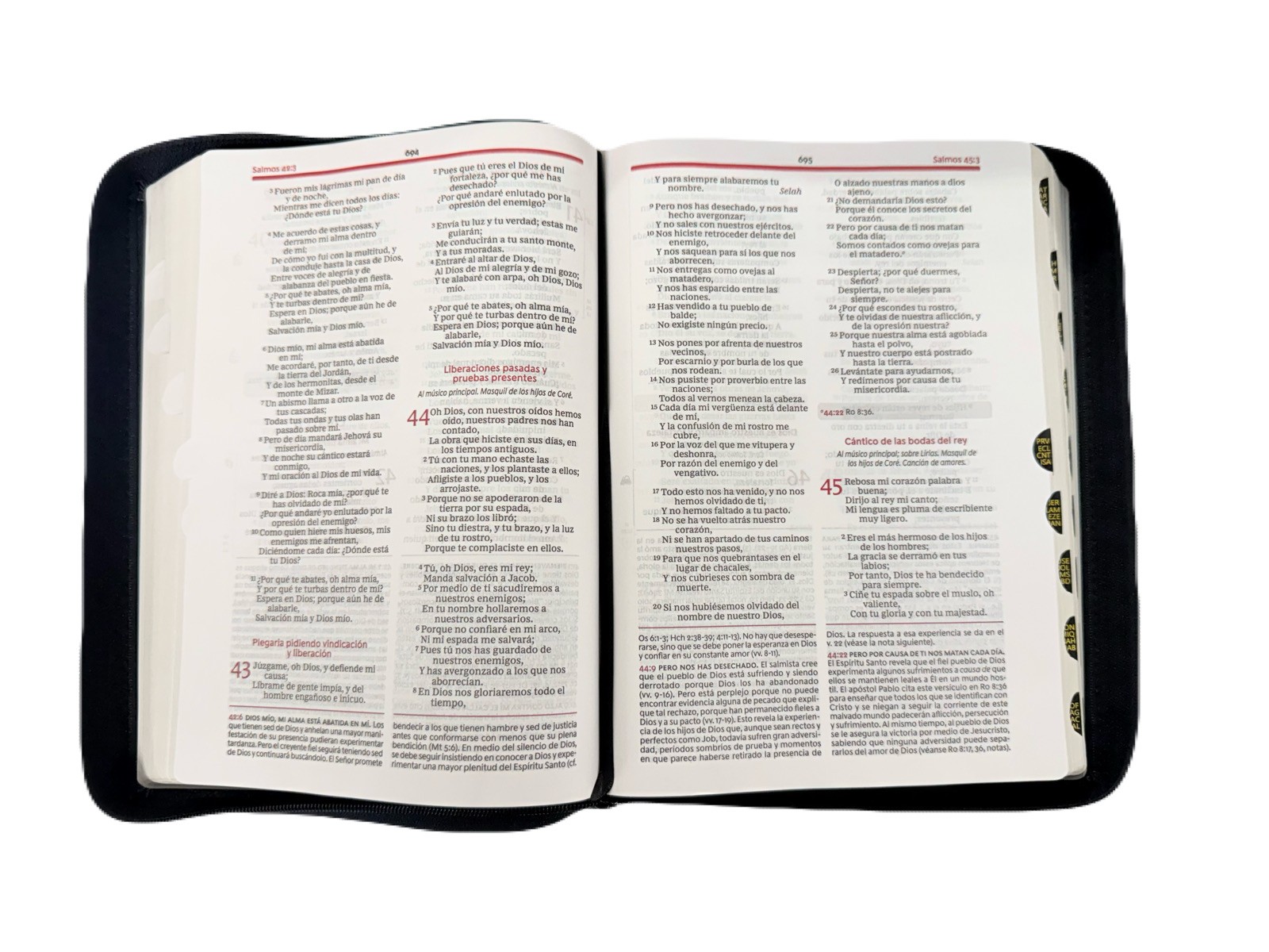 Biblia De Estudio Vida Plena RV1960 - Imagen 4