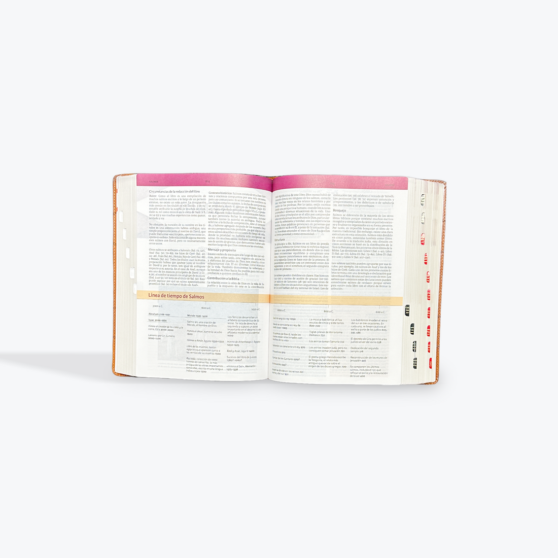 Biblia de Estudio Holman RV1960 - Imagen 3