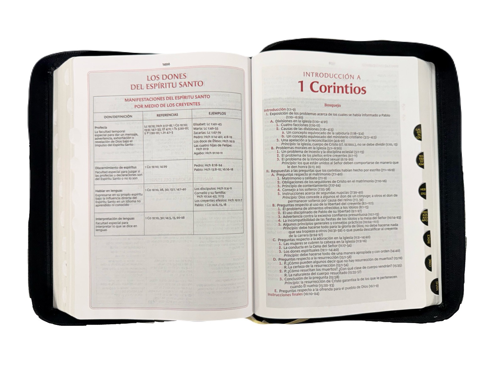 Biblia De Estudio Vida Plena RV1960 - Imagen 3