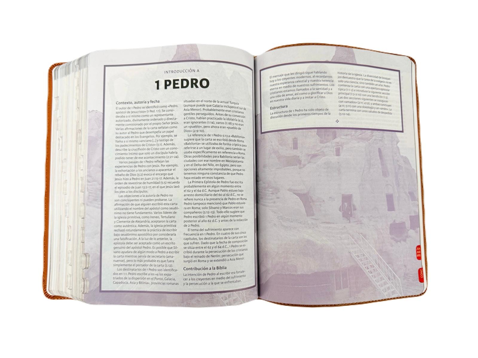 Biblia Ilustrada De La Tierra Santa Imit. Piel Café con Index RV1960 - Imagen 6