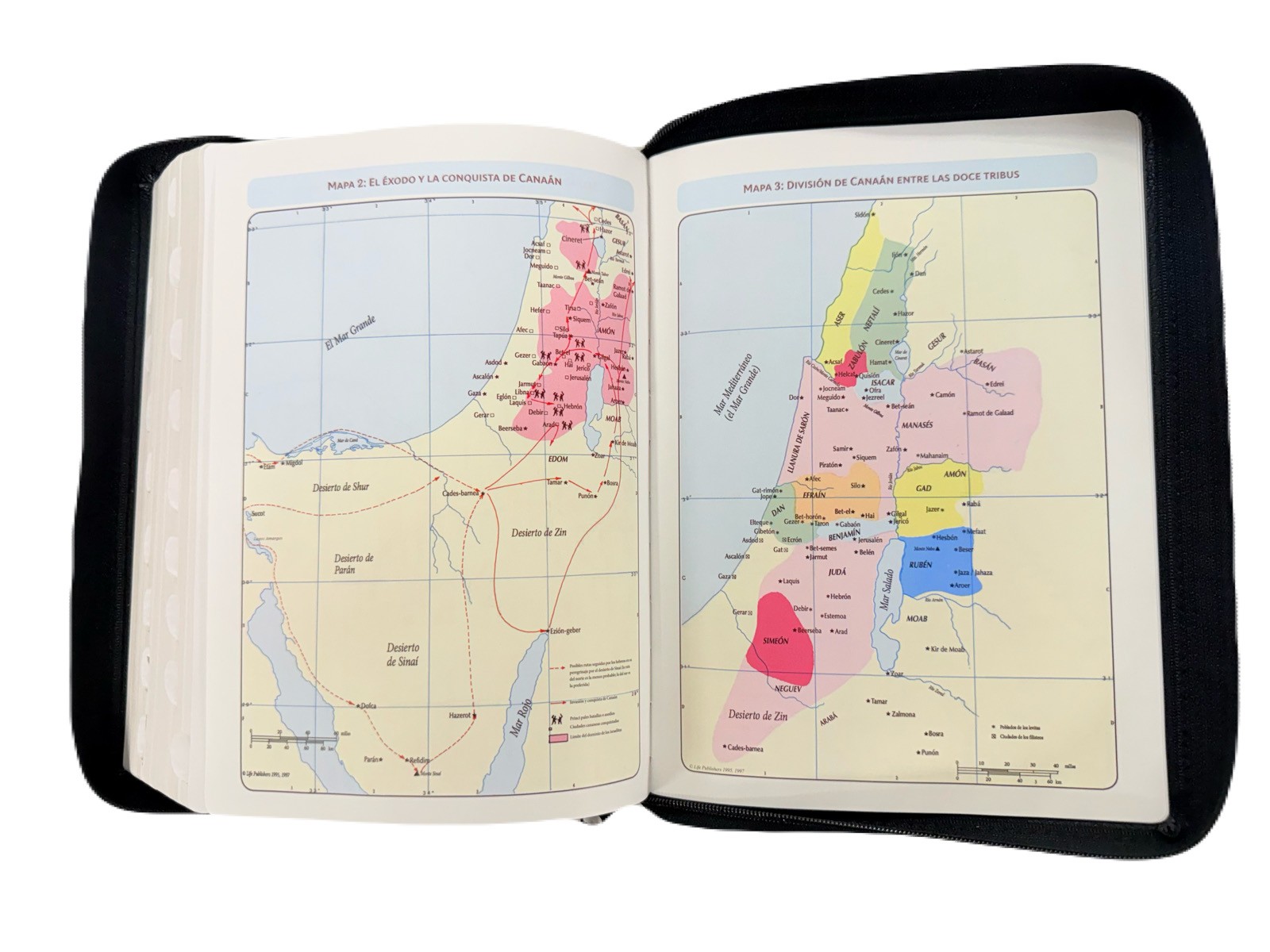 Biblia De Estudio Vida Plena RV1960 - Imagen 5