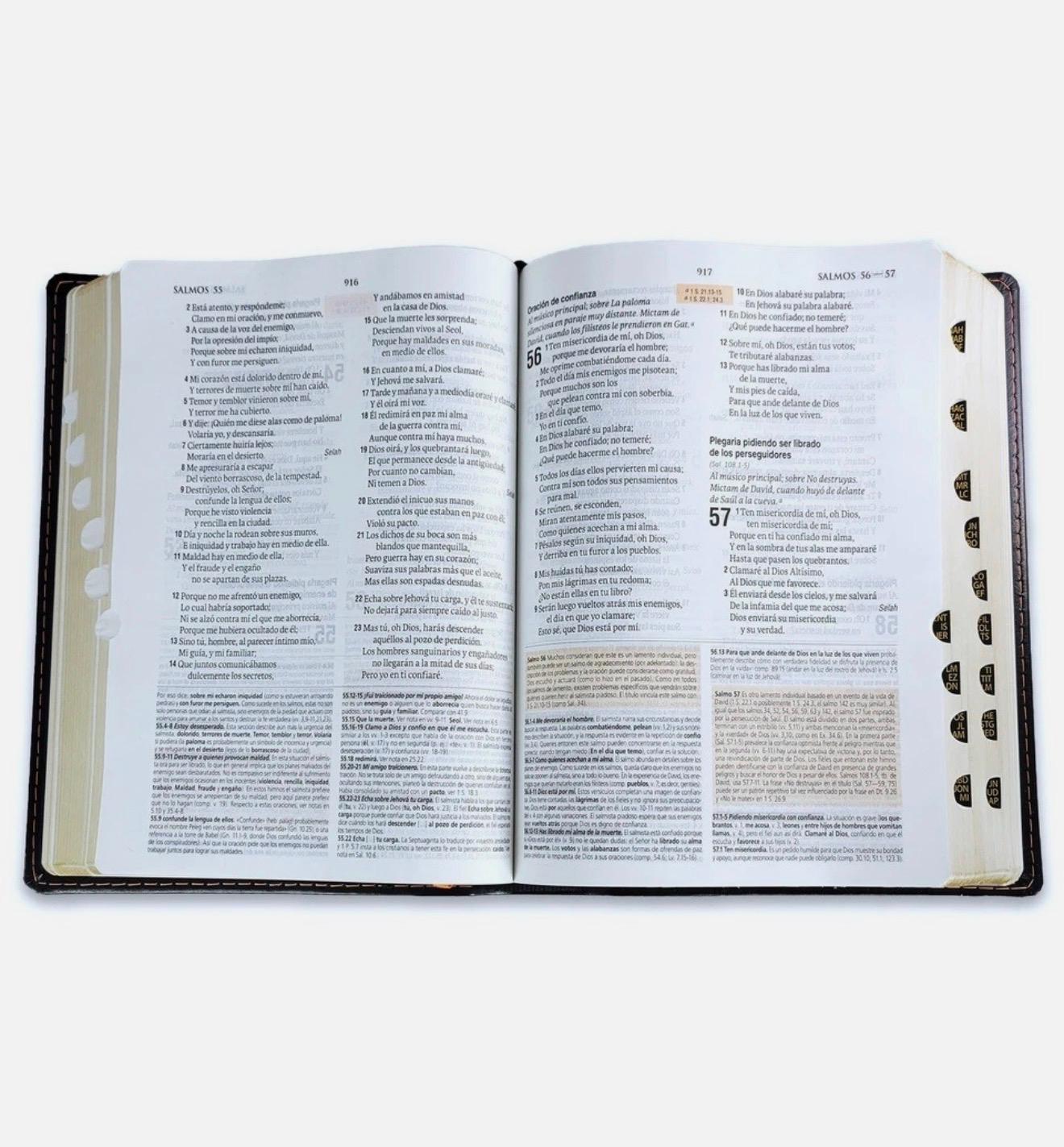 Biblia De Estudio Teologico Con Index RV1960 - Imagen 4