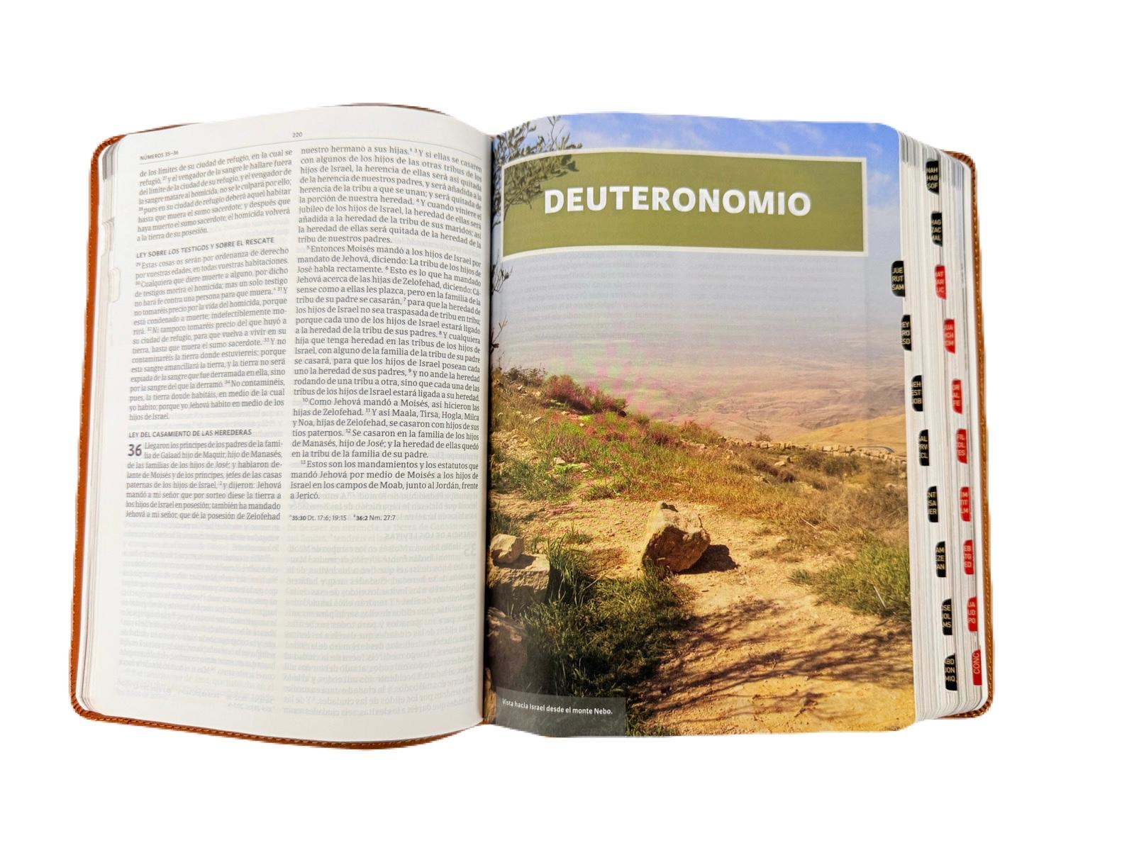 Biblia Ilustrada De La Tierra Santa Imit. Piel Café con Index RV1960 - Imagen 3