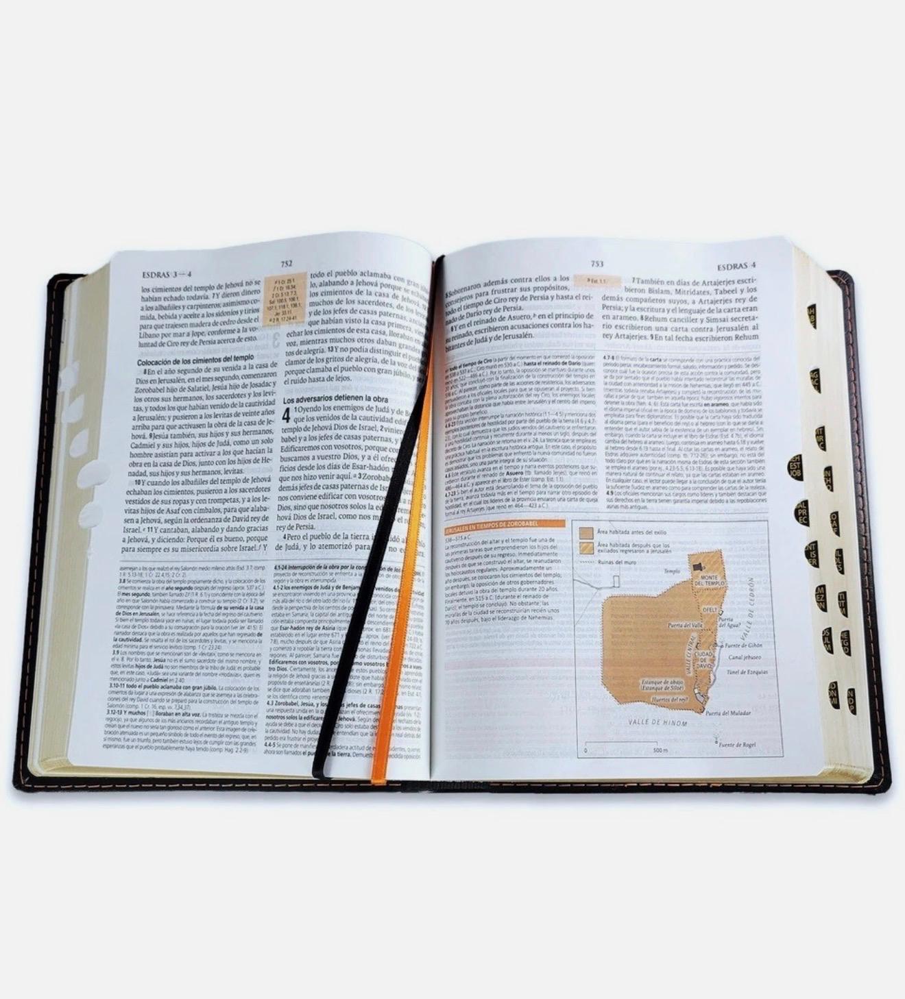 Biblia De Estudio Teologico Con Index RV1960 - Imagen 5