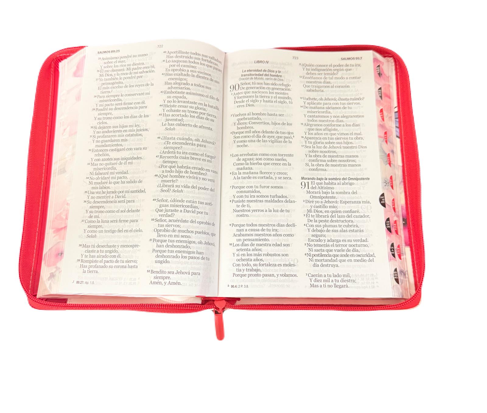 Biblia Para Mujer Letra Grande 12 Puntos Con Cierre e Index Pretty Rosa RV1960 - Imagen 3