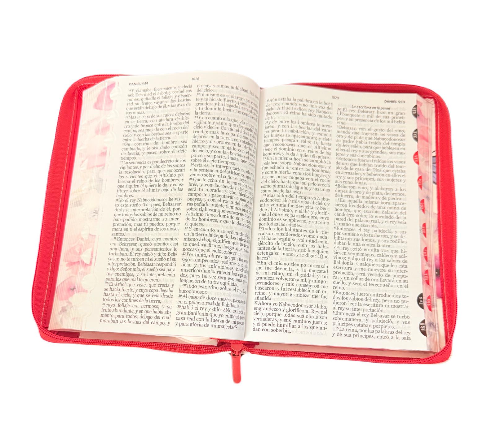 Biblia Para Mujer Letra Grande 12 Puntos Con Cierre e Index Pretty Rosa RV1960 - Imagen 4