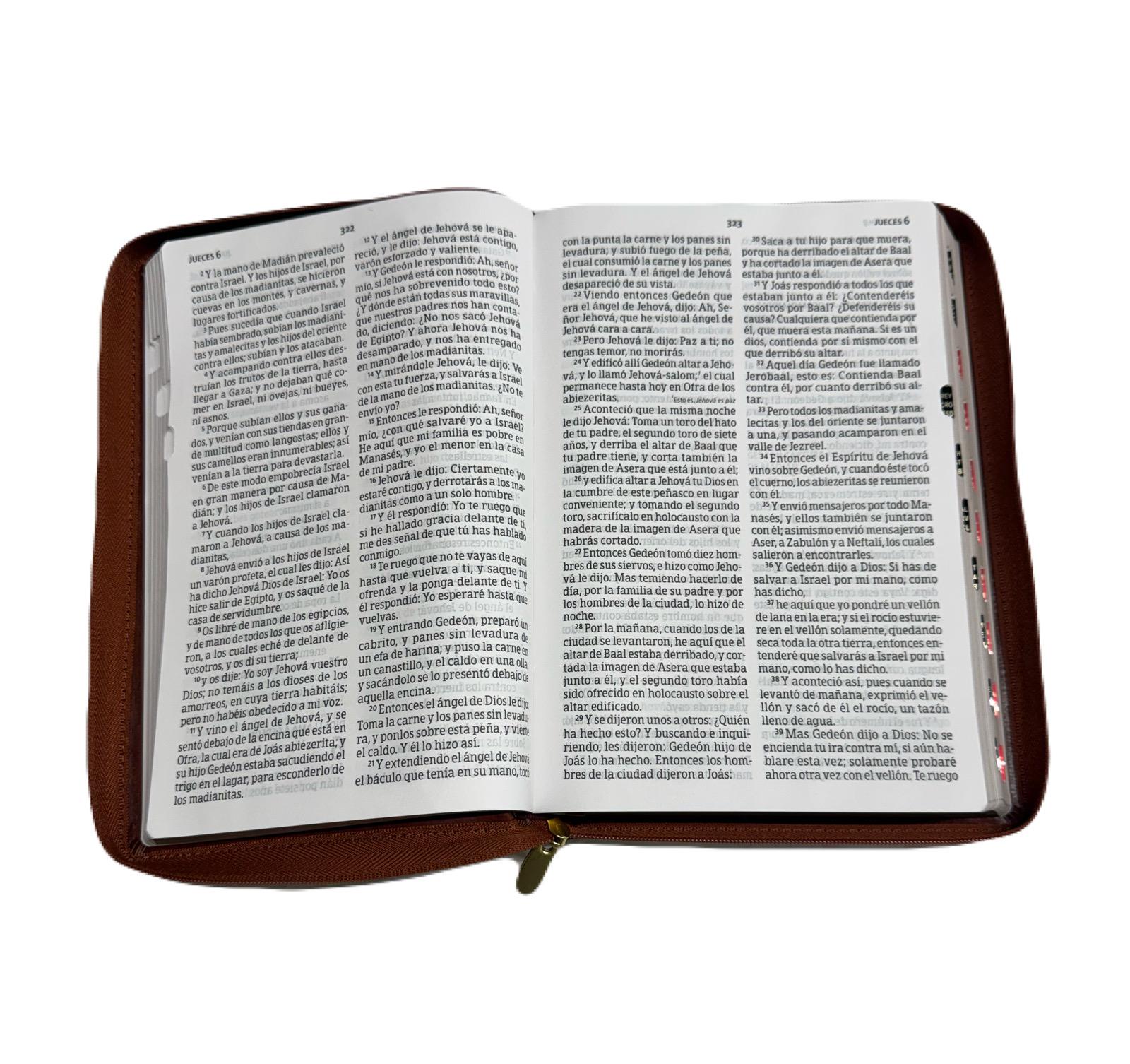 Biblia Letra Gigante Marron 14 Pts Con Cierre e Index RV1960 - Imagen 3