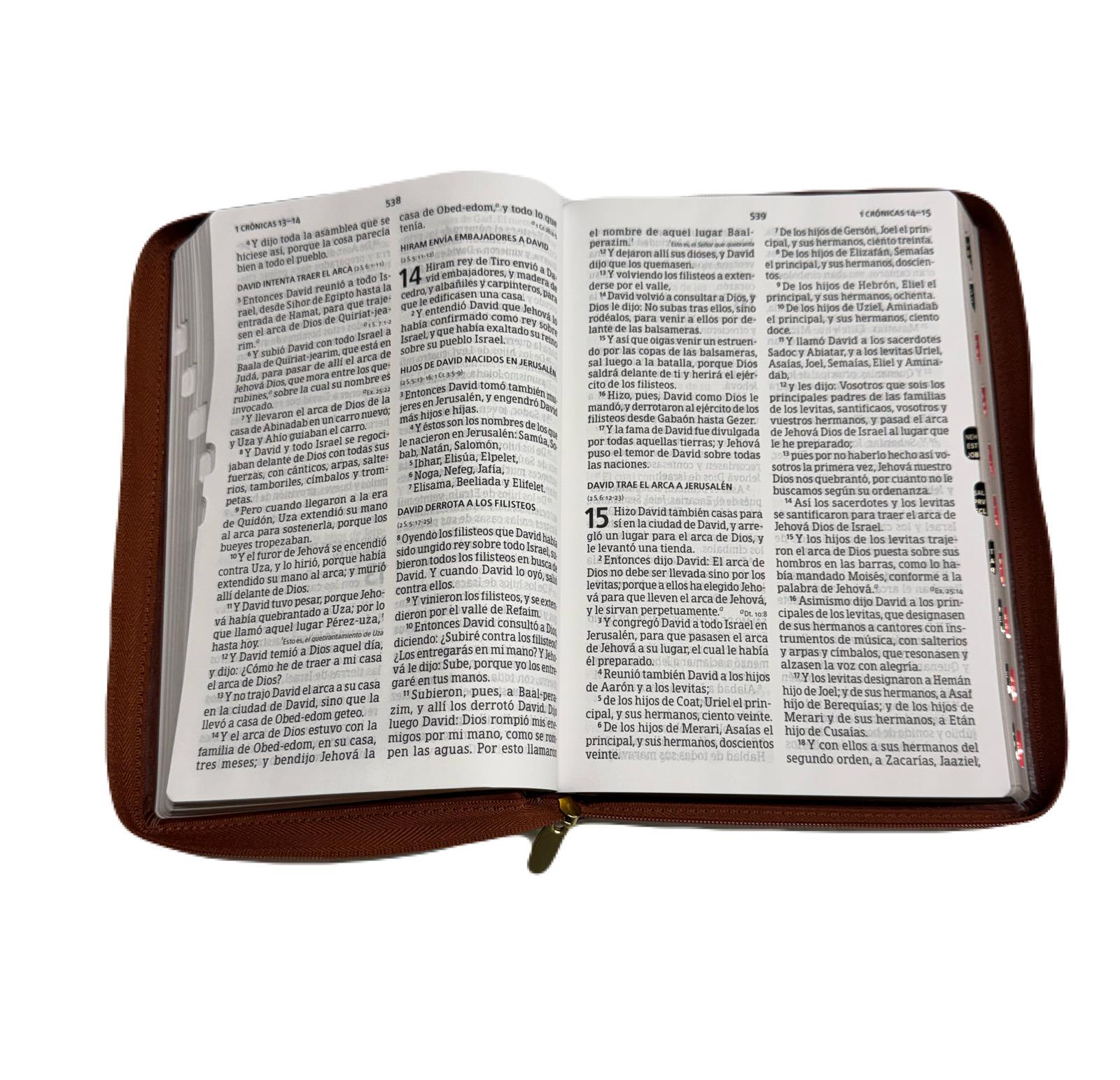 Biblia Letra Gigante Marron 14 Pts Con Cierre e Index RV1960 - Imagen 4