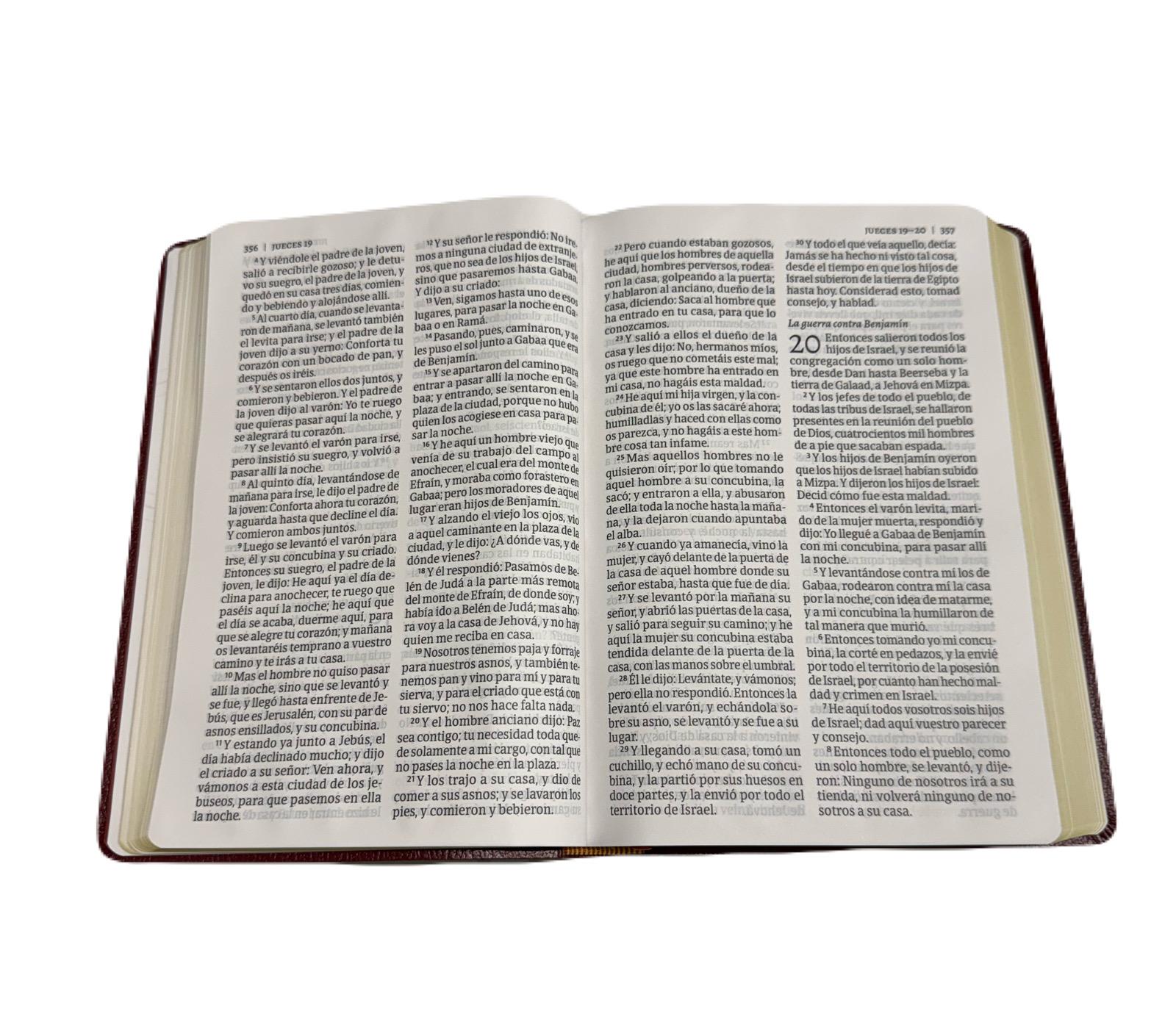 Biblia Letra Gigante 14 Pts Marron Con Index RV1960 - Imagen 3