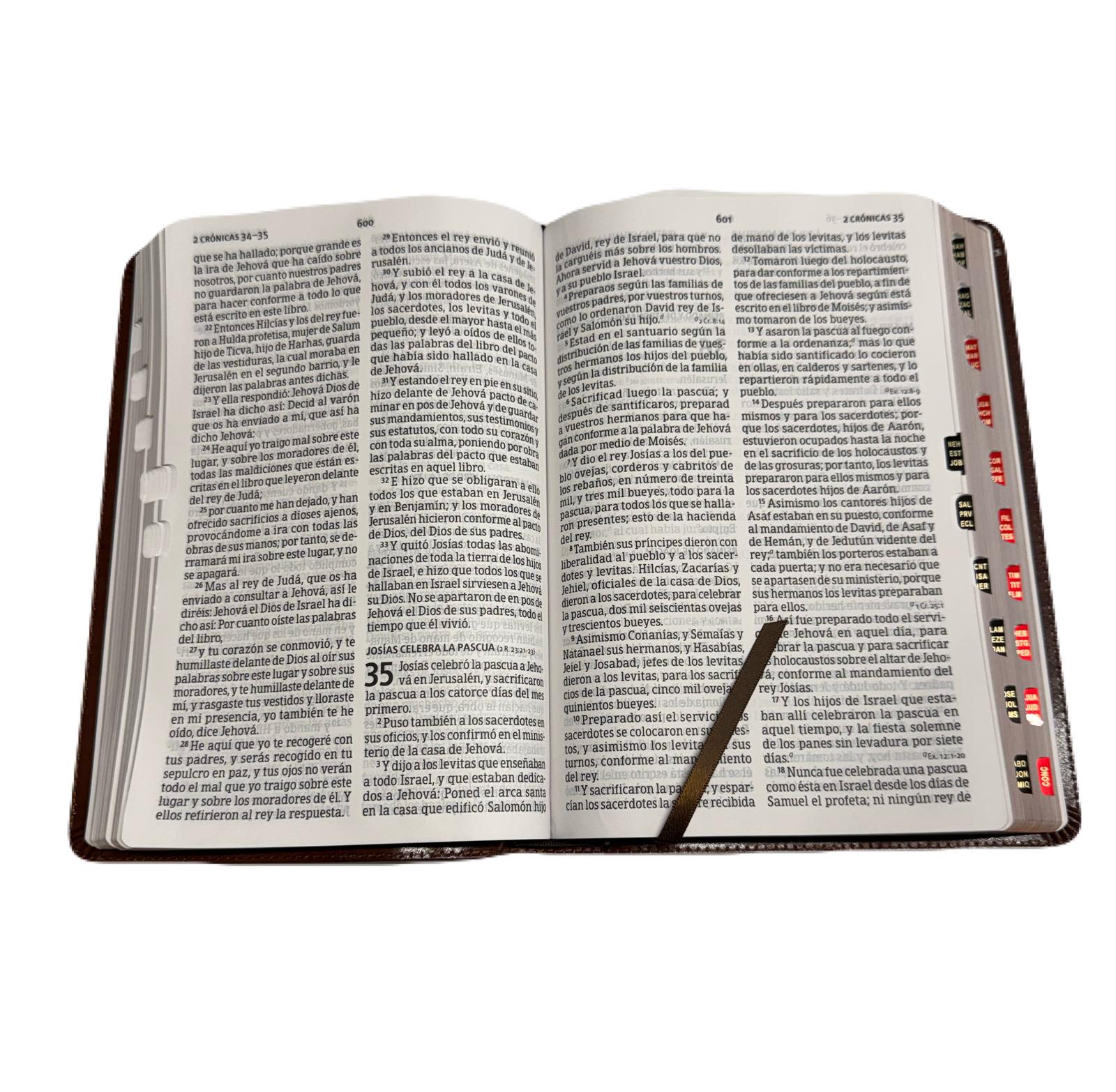 Biblia Letra Gigante 14 Pts Marron Con Index RV1960 - Imagen 4