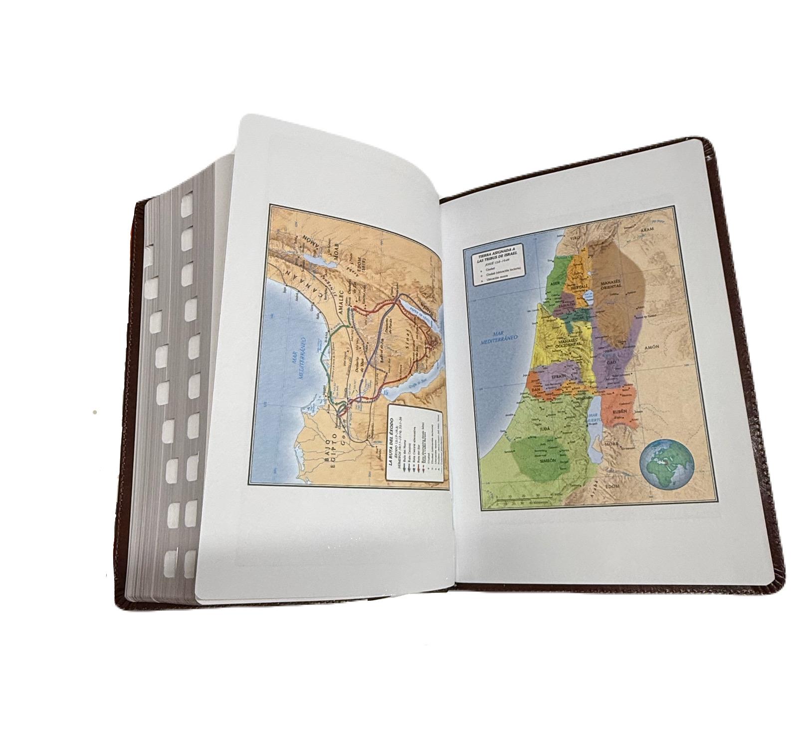 Biblia Letra Gigante 14 Pts Marron Con Index RV1960 - Imagen 5