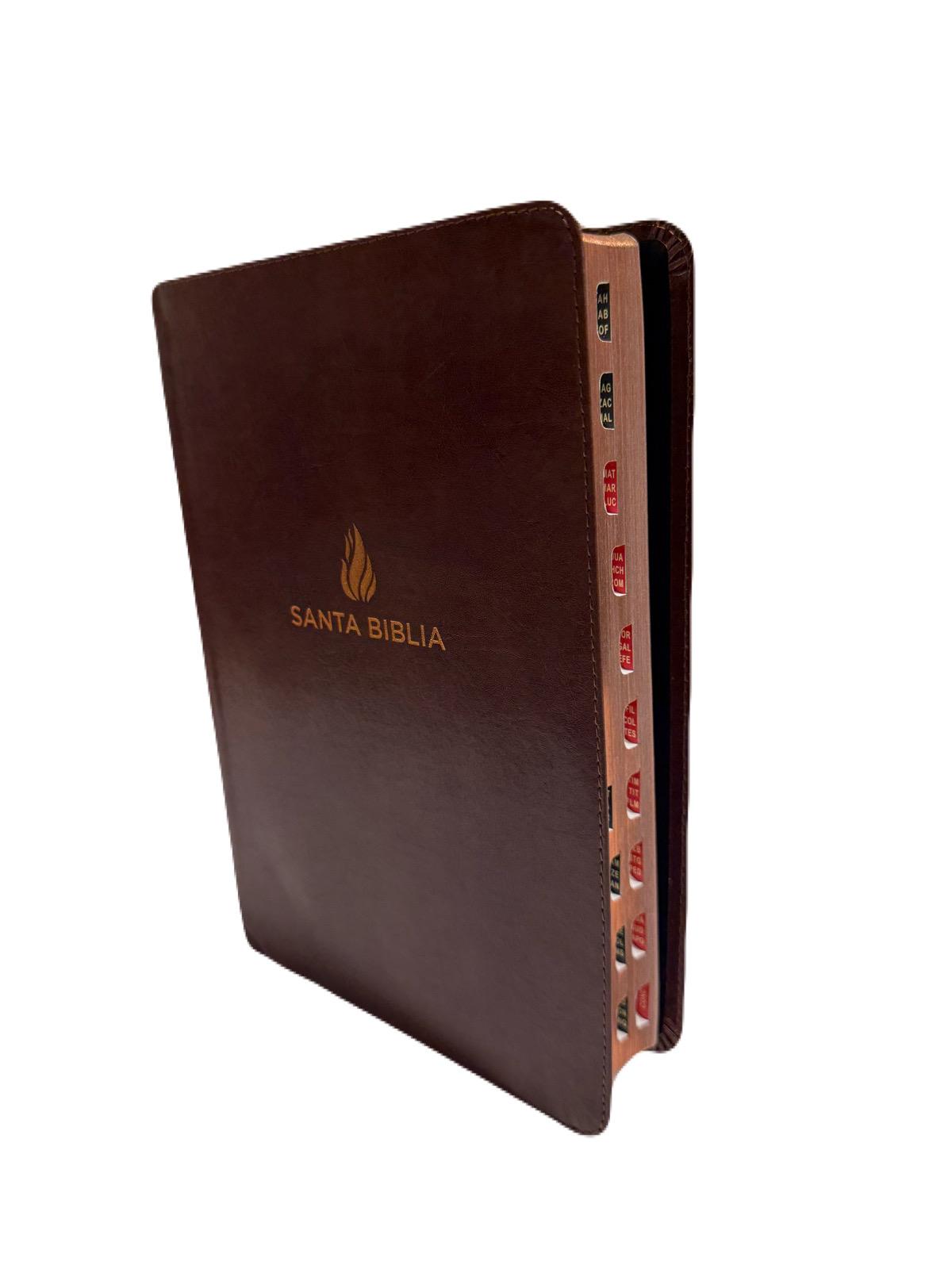 Biblia Letra Gigante 14 Pts Marron Con Index RV1960 - Imagen 2