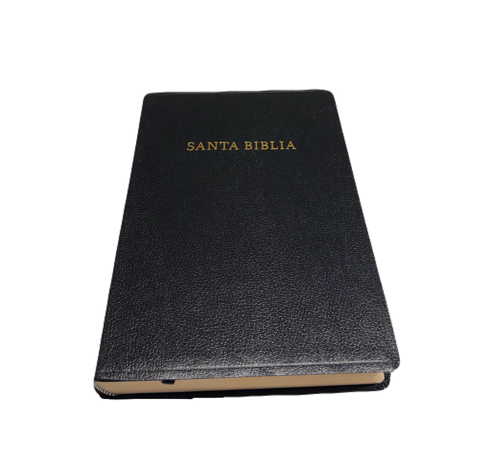 Biblia Letra Grande 14 Pts Negro Con Index RV1960