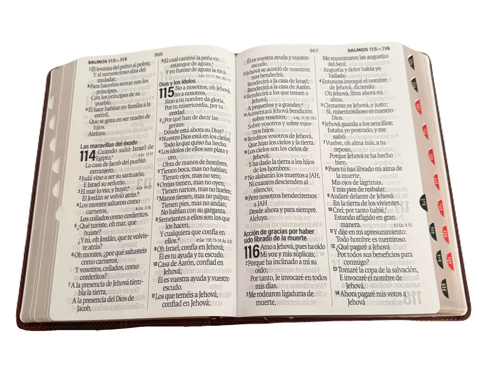 Biblia Letra Super Gigante Con Index 19pt Piel Imit Cafe RV1960 - Imagen 5
