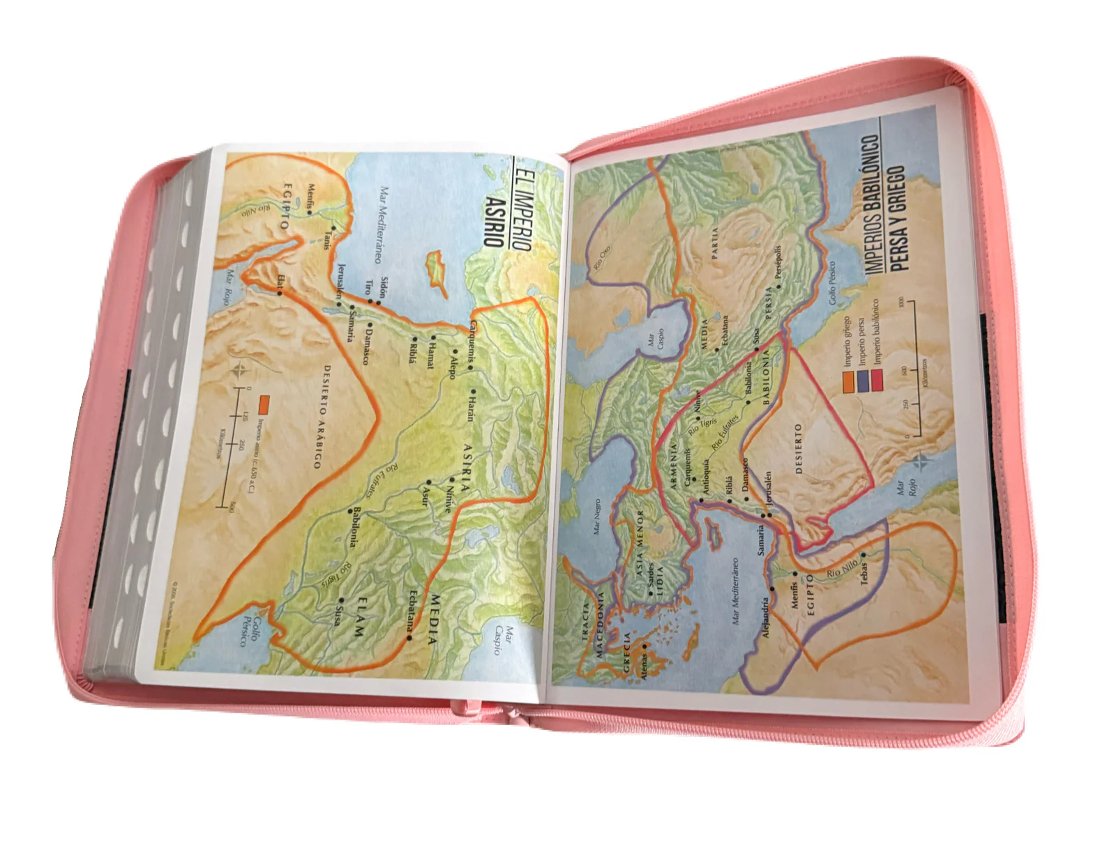 Biblia Letra Super Gigante 19Pt Rosa-Cafe Con Cierre/Indice RV1960 - Imagen 5