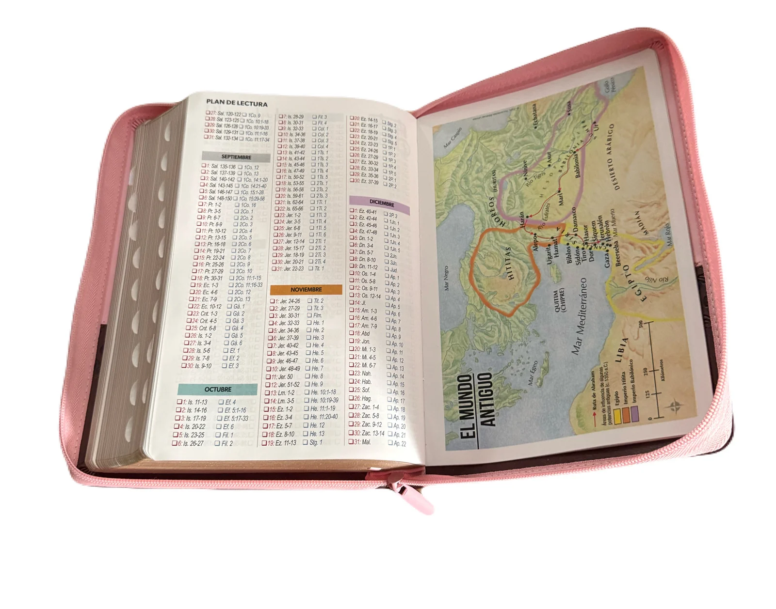 Biblia Letra Super Gigante 19Pt Rosa-Cafe Con Cierre/Indice RV1960 - Imagen 4