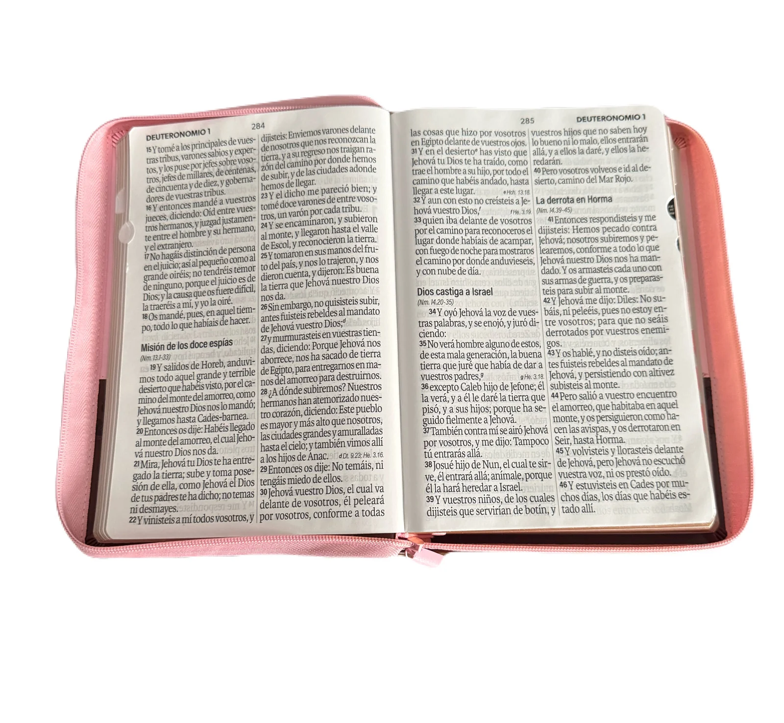 Biblia Letra Super Gigante 19Pt Rosa-Cafe Con Cierre/Indice RV1960 - Imagen 2