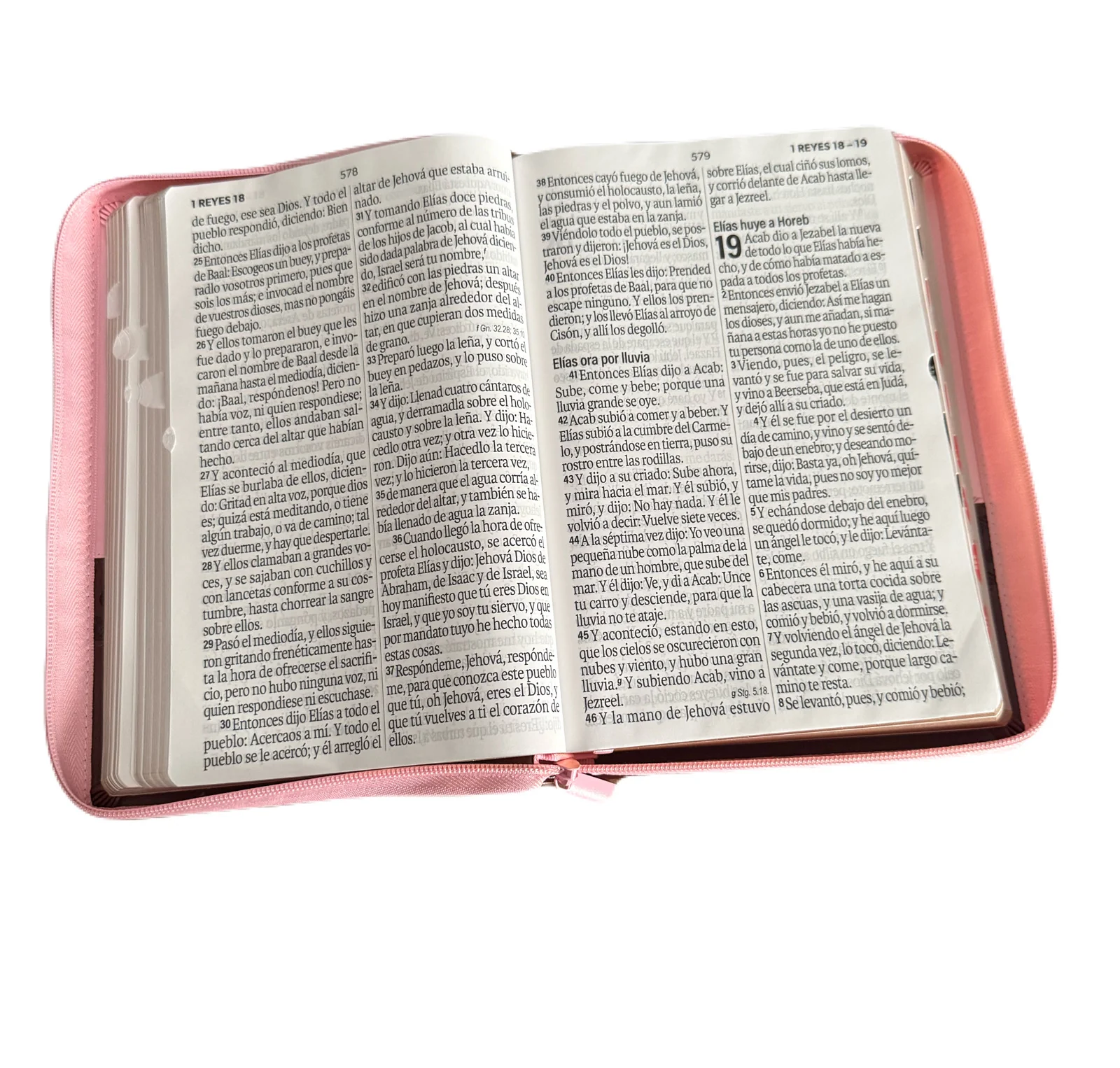 Biblia Letra Super Gigante 19Pt Rosa-Cafe Con Cierre/Indice RV1960 - Imagen 3