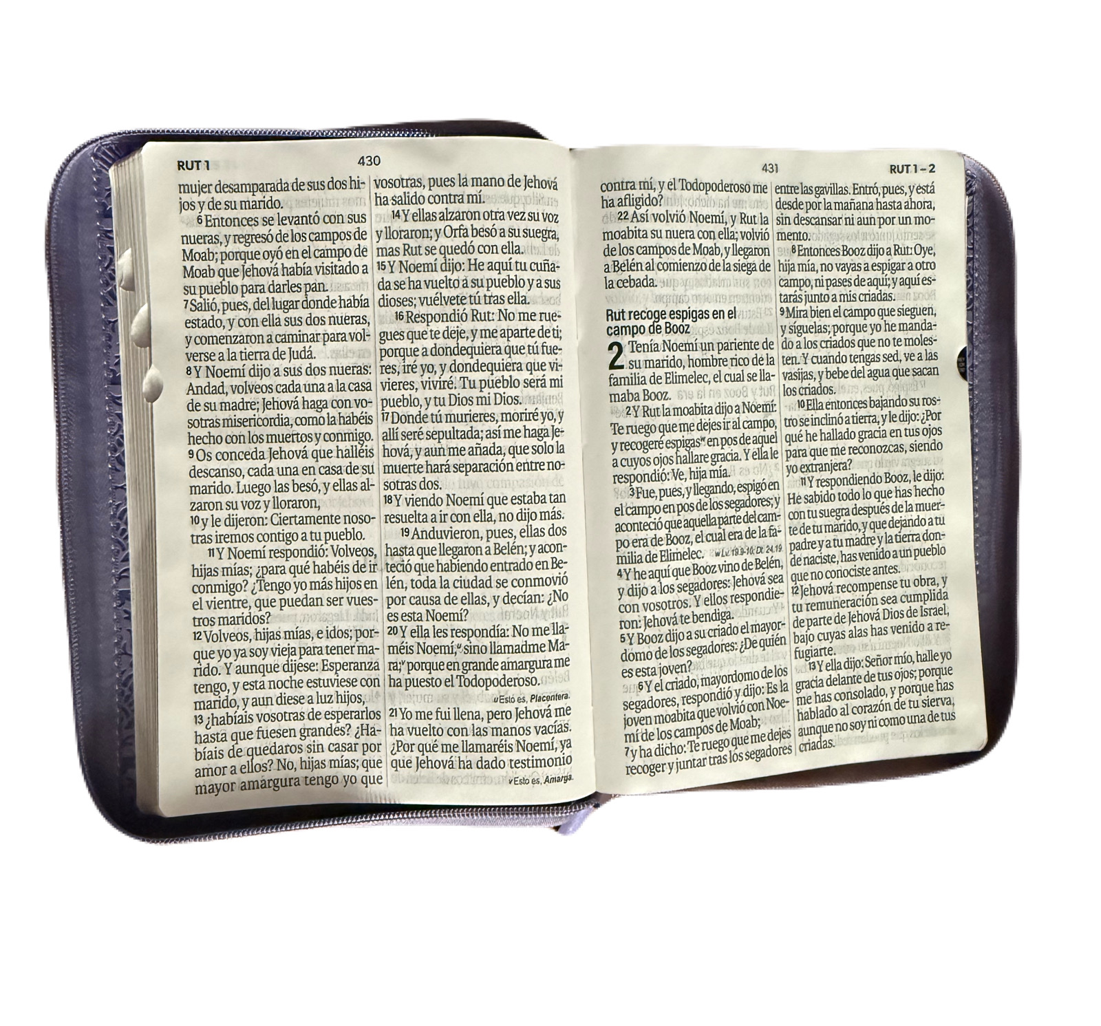 Biblia Letra Súper Gigante 19Pts Con Index Lila/Café Flores Grabadas RV1960 - Imagen 2