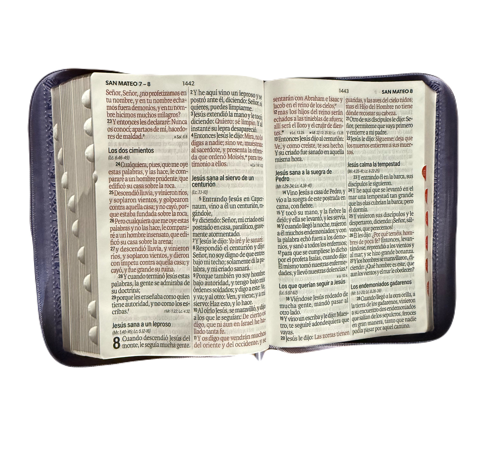Biblia Letra Súper Gigante 19Pts Con Index Lila/Café Flores Grabadas RV1960 - Imagen 3