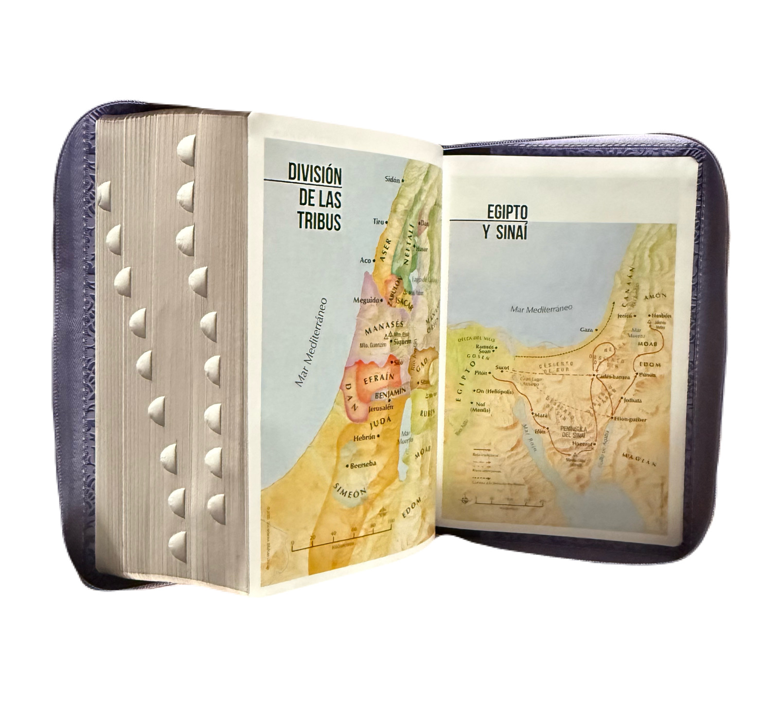 Biblia Letra Súper Gigante 19Pts Con Index Lila/Café Flores Grabadas RV1960 - Imagen 4