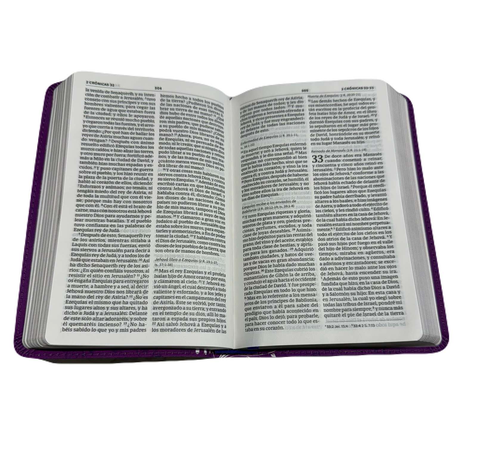Biblia Edición Mis Quince RV1960 Amatista Con Mariposas Símil Piel - Imagen 3