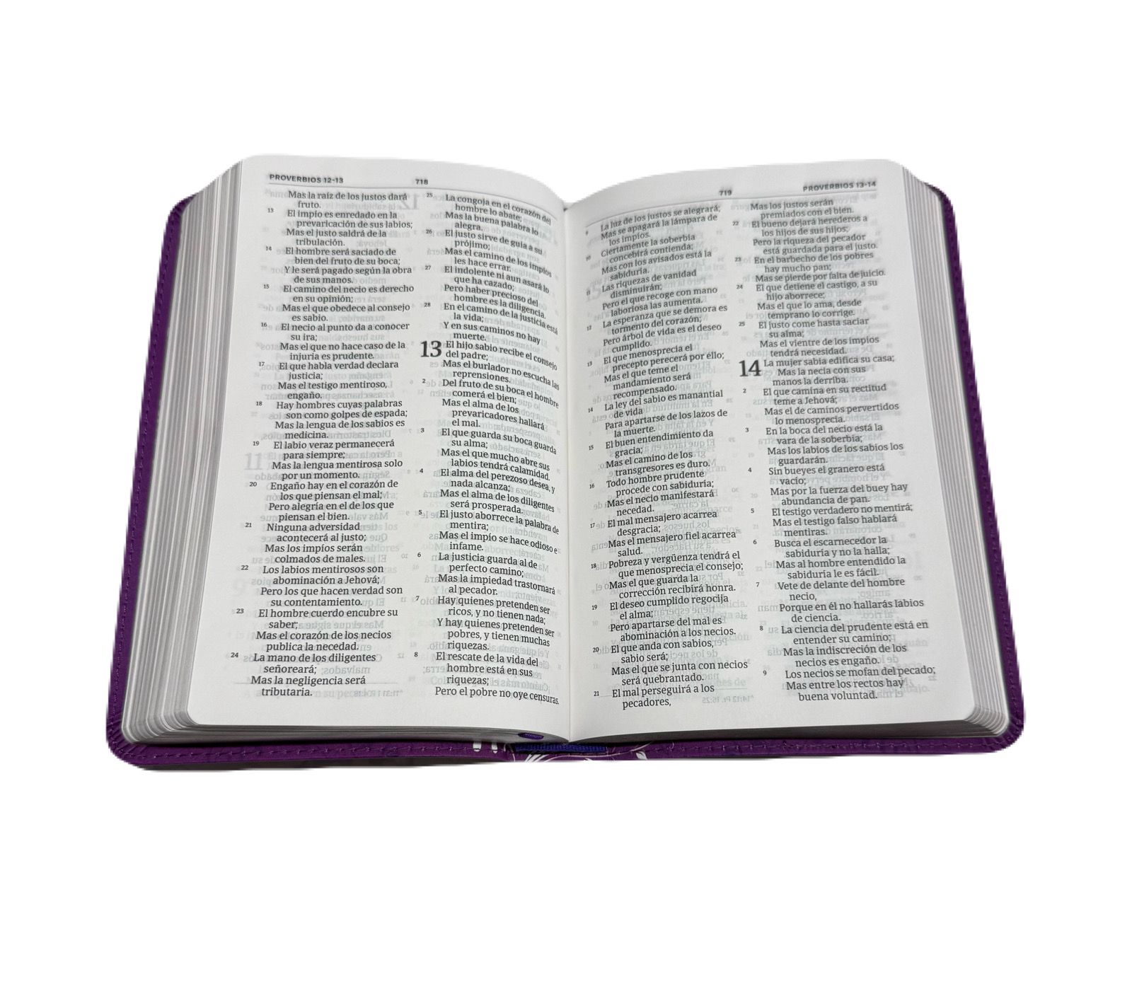 Biblia Edición Mis Quince RV1960 Amatista Con Mariposas Símil Piel - Imagen 4